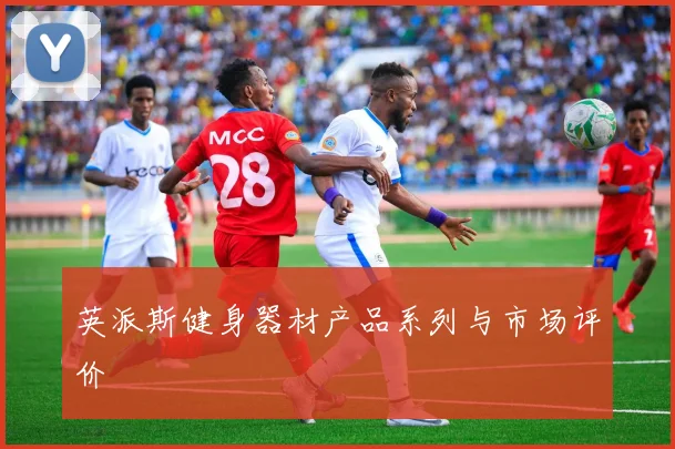 英派斯健身器材产品系列与市场评价