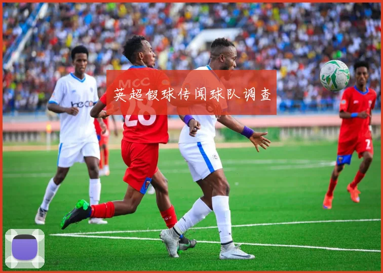 英超假球传闻球队调查
